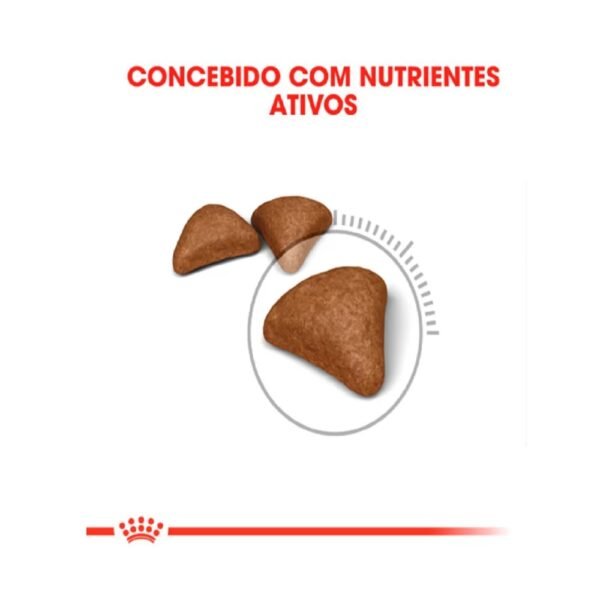 Ração Royal Canin Bolas de Pelo para Gatos Adultos 1,5 Kg - Imagem 2