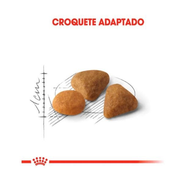 Ração Royal Canin Exigent para Gatos Adultos com Paladar Exigente 400g - Imagem 2
